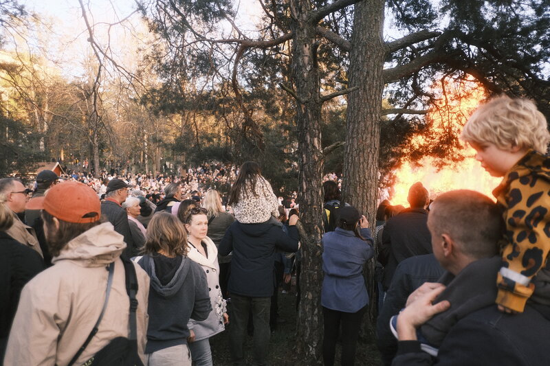 A large crowd gathered in a park watches a bonfire blazing through the trees at golden hour